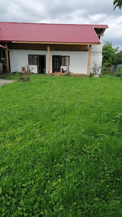 Jugul Taranului Agropensiune Polovragi, Gorj Villa Exterior photo