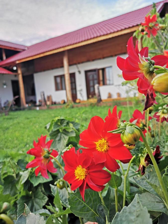 Jugul Taranului Agropensiune Polovragi, Gorj Villa Exterior photo