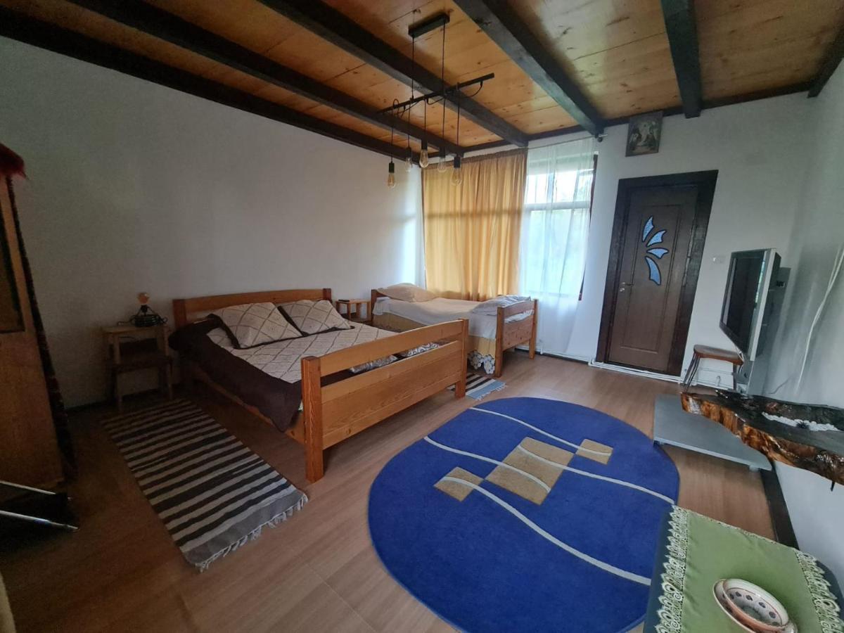 Jugul Taranului Agropensiune Polovragi, Gorj Villa Exterior photo